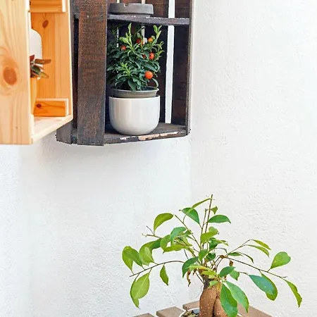 B&Bea Sweet Home Aurelia Rome Exterior photo